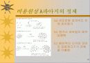 세포의 DNA정제 19페이지