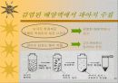세포의 DNA정제 20페이지