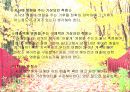 마케팅- 날씨마케팅 7페이지