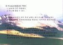 마케팅- 날씨마케팅 11페이지