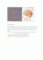 뇌파(EEG ERP) 측정 5페이지