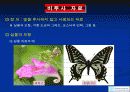 비투사 자료와 투사매체의 활용과 개발 5페이지