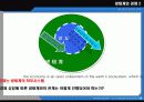 ecosystem, economy system & sustainable development 8페이지