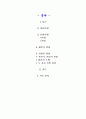 MP3에 대하여 2페이지