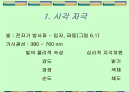 시각(Vision)에 대한 조사자료 2페이지