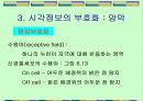 시각(Vision)에 대한 조사자료 11페이지
