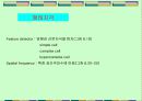 시각(Vision)에 대한 조사자료 14페이지
