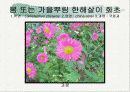 화훼식물의 학명 및 분류 21페이지