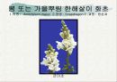 화훼식물의 학명 및 분류 22페이지