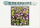 화훼식물의 학명 및 분류 48페이지