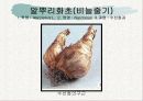 화훼식물의 학명 및 분류 77페이지