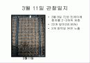 육묘관찰일지 5페이지