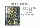 육묘관찰일지 15페이지