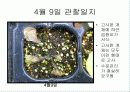 육묘관찰일지 17페이지