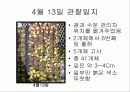 육묘관찰일지 18페이지