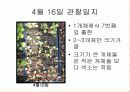 육묘관찰일지 19페이지