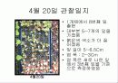육묘관찰일지 20페이지