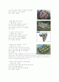 그린빌딩 4페이지