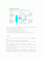 균형성과표 5페이지