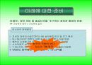 우리가 이끌어 가야 할 조국의 미래상 ppt 자료 12페이지