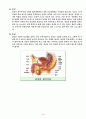 남녀 성이란 무엇인가 7페이지