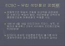 생산 시장 통합 36페이지