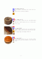 치즈에 관한 정리자료 27페이지