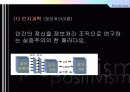 실증주의와 행동주의의 교육철학 15페이지
