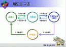 현금영수증제도 발표용 ppt 7페이지