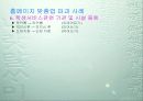 맞춤법 파괴 사례 9페이지