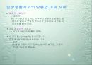 맞춤법 파괴 사례 27페이지