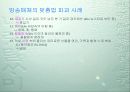 맞춤법 파괴 사례 31페이지
