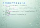 맞춤법 파괴 사례 32페이지