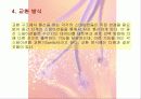 네트워크의 종류와 특성 5페이지