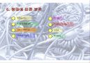 네트워크의 종류와 특성 19페이지