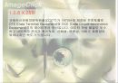 네트워크의 종류와 특성 24페이지