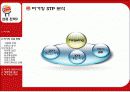 버거킹 프랜차이즈의 성공 사례 10페이지