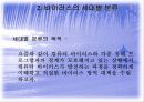 컴퓨터 바이러스 8페이지