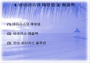 컴퓨터 바이러스 23페이지