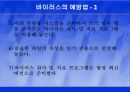 컴퓨터 바이러스 25페이지