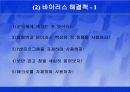 컴퓨터 바이러스 26페이지