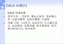 CALS(Commerce At Light Speed) 13페이지