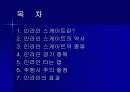 인라인 스케이트 3페이지
