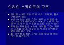 인라인 스케이트 12페이지