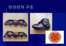 인라인 스케이트 13페이지