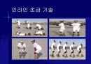인라인 스케이트 17페이지