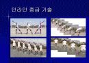 인라인 스케이트 18페이지