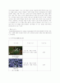 유아교육프로그램 2페이지