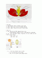 식물의 구조 3페이지
