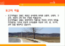 토고미마을에 대한 관광 농업프로그램 제작 2페이지